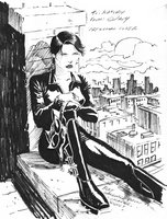 Catwoman, issue #37, cover idea
