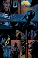 Punisher Valentine Special 2006, page 2